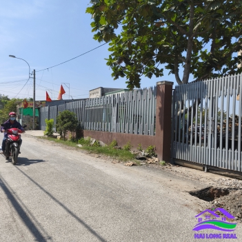 Đất mặt tiền đường Tân Liễu, Giá: 20tr/m2, DT: 23x31m, 710m2, thổ cư 500m2, xã Hưng Long, Bình Chánh 