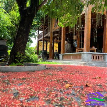 HAILONGREAL: Nhà vườn view sông, giá: 9ty, DT: 278m2, 10x28m, đường Nguyễn Bình