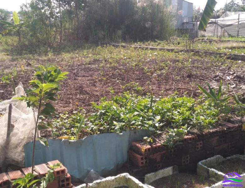 HAILONGREAL: Đất giá: 3,6ty, DT: 17*19m, 320m2, thổ cư 167m3, Nguyễn Văn Tạo, xã Hiệp Phước, Nhà Bè 