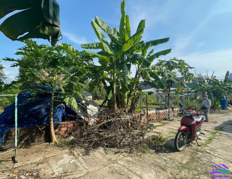 HAILONGREAL: Đất giá: 3,6ty, DT: 17*19m, 320m2, thổ cư 167m3, Nguyễn Văn Tạo, xã Hiệp Phước, Nhà Bè 