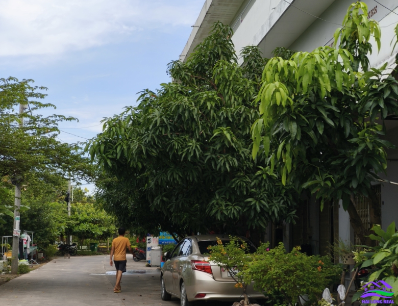 Nhà đất nhà bè chính chủ đất bán 10x56m, giá: 13tỷ, Nguyễn văn tạo, xã lòng thới, nhà bè