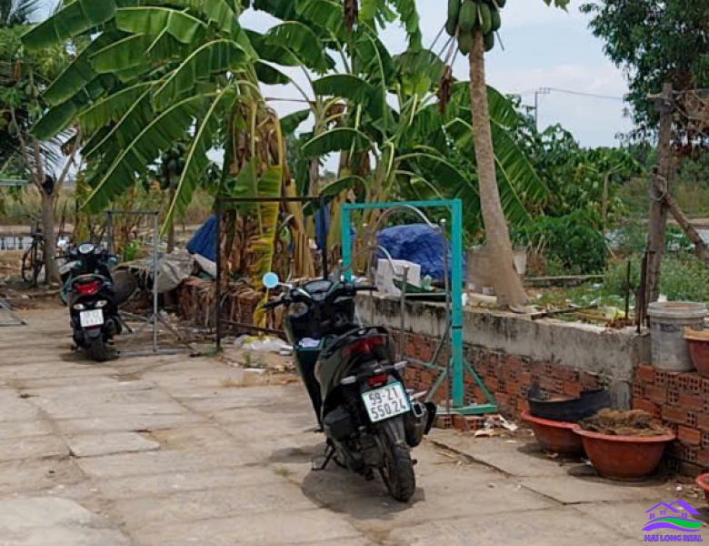 Đất bán 17x19m, 320m2, thổ cư 165m2, Giá: 3.6 tỷ, Đường Nguyễn văn Tạo, nhà bè 