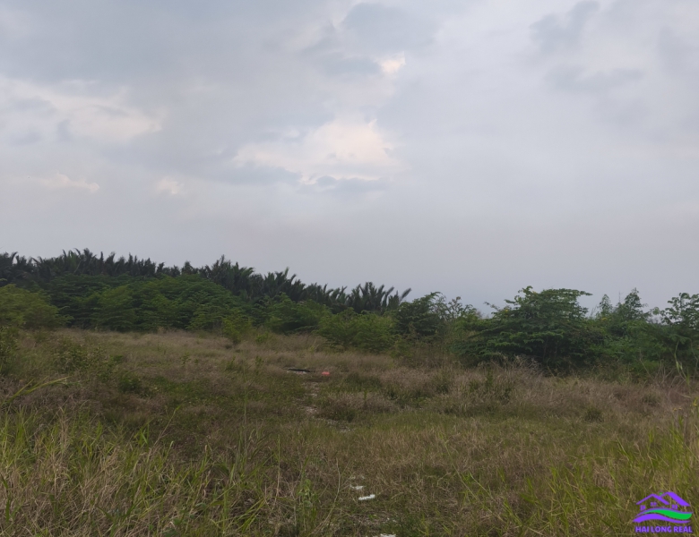 HAILONGREAL: Siêu phẩm Mặt tiền đường Nguyễn Bình, DT: 3155m2, có thể chuyển thổ cư 2750m2, Giá: 160ty