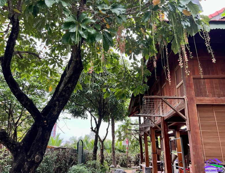 HAILONGREAL: Nhà vườn view sông, giá: 9ty, DT: 278m2, 10x28m, đường Nguyễn Bình