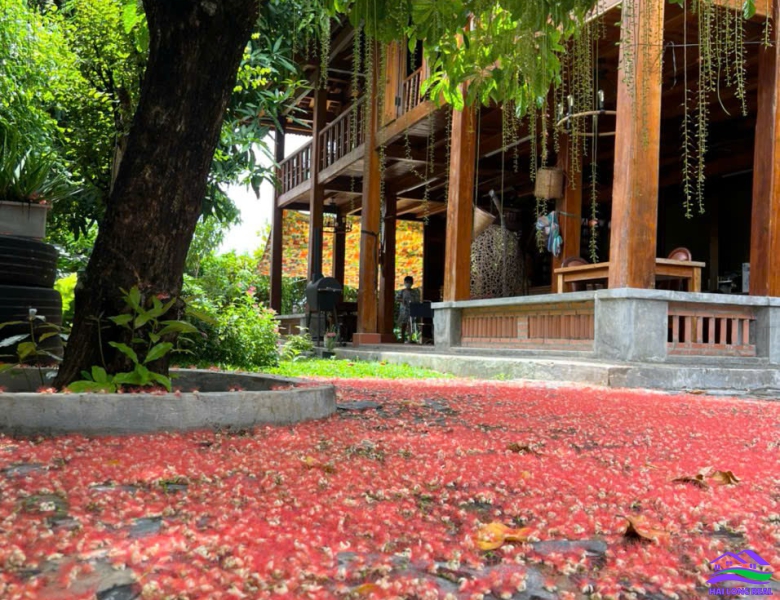 HAILONGREAL: Nhà vườn view sông, giá: 9ty, DT: 278m2, 10x28m, đường Nguyễn Bình