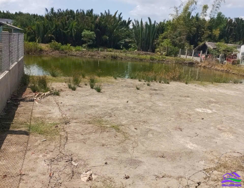 Đất giá: 1,7ty, DT: 1000m2, 25*40m, đường Tân Tập - Long Hậu, cạnh KCN Long Hậu 