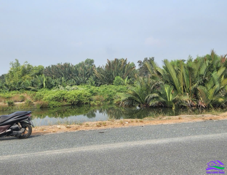 Đất giá: 3.2ty, DT: 826m2, ngang 21m, mặt tiền đường Tân Tập - Long Hậu, cạnh KCN Long Hậu 