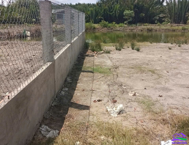 Đất giá: 1,7ty, DT: 1000m2, 25*40m, đường Tân Tập - Long Hậu, cạnh KCN Long Hậu 