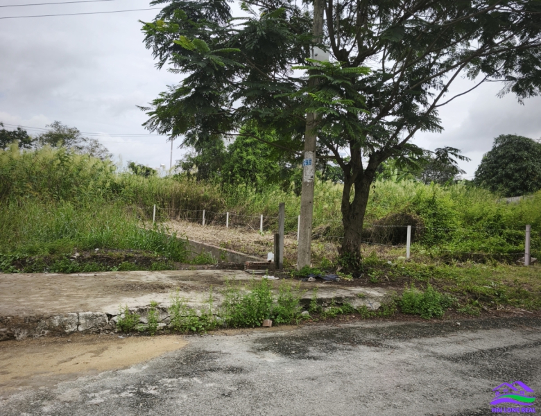 HAILONGREAL: Đất giá: 38tr/m2, DT: 8*25m, đường 12m, khu 526/ Nguyễn Văn Tạo, Nhà Bè 