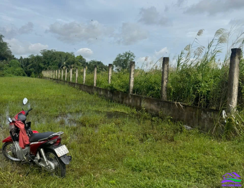 HAILONGREAL: Đất giá: 12ty, DT: 1170m2, thổ cư 300m2, ngang 15x77m, Đường XƯƠNG CÁ 2 - NGÔ QUANG THẮM, Nhà Bè 