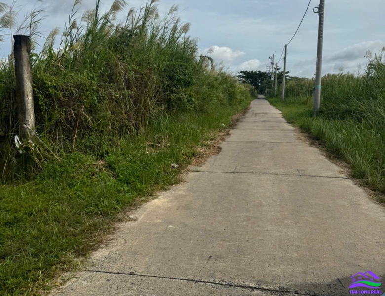 HAILONGREAL: Đất giá: 12ty, DT: 1170m2, thổ cư 300m2, ngang 15x77m, Đường XƯƠNG CÁ 2 - NGÔ QUANG THẮM, Nhà Bè 