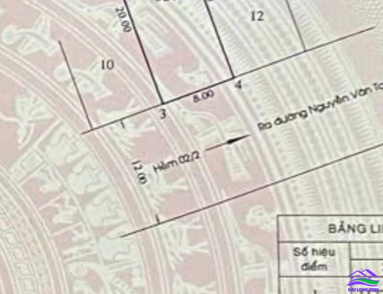 HAILONGREAL: Đất giá: 38tr/m2, DT: 8*25m, đường 12m, khu 526/ Nguyễn Văn Tạo, Nhà Bè 
