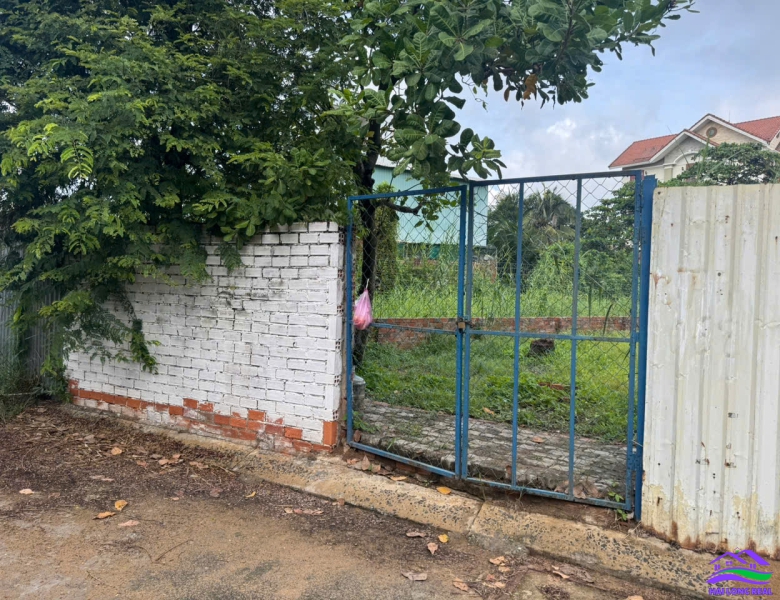 HAILONGREAl: đất giá: 31tr/m2, DT: 6x27m, 165m2, đường 8m, khu Đai Việt, đường Lê Văn Lương, xã Nhơn Đức, Nhà Bè