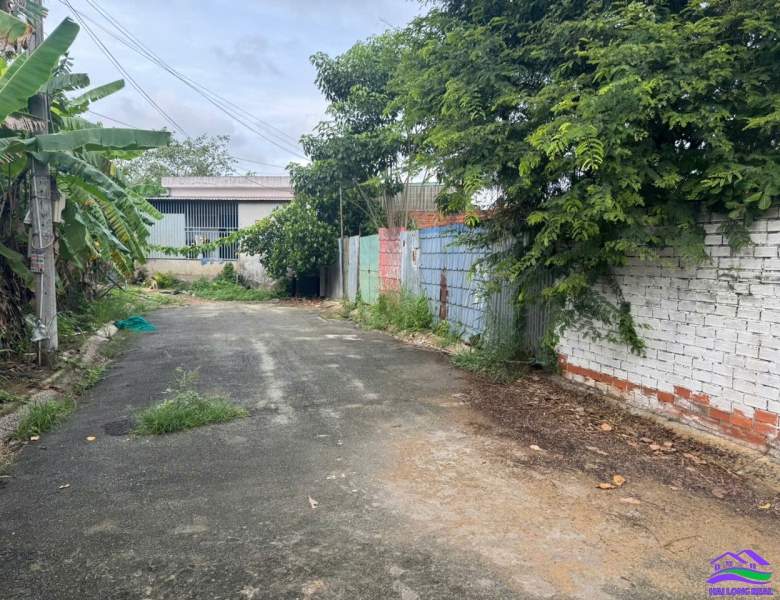 HAILONGREAl: đất giá: 31tr/m2, DT: 6x27m, 165m2, đường 8m, khu Đai Việt, đường Lê Văn Lương, xã Nhơn Đức, Nhà Bè