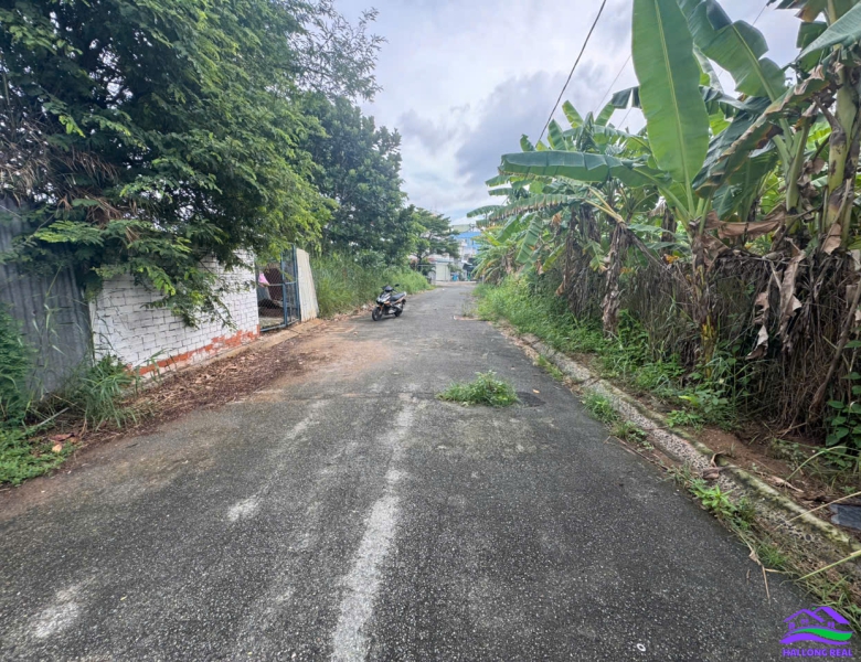 HAILONGREAl: đất giá: 31tr/m2, DT: 6x27m, 165m2, đường 8m, khu Đai Việt, đường Lê Văn Lương, xã Nhơn Đức, Nhà Bè