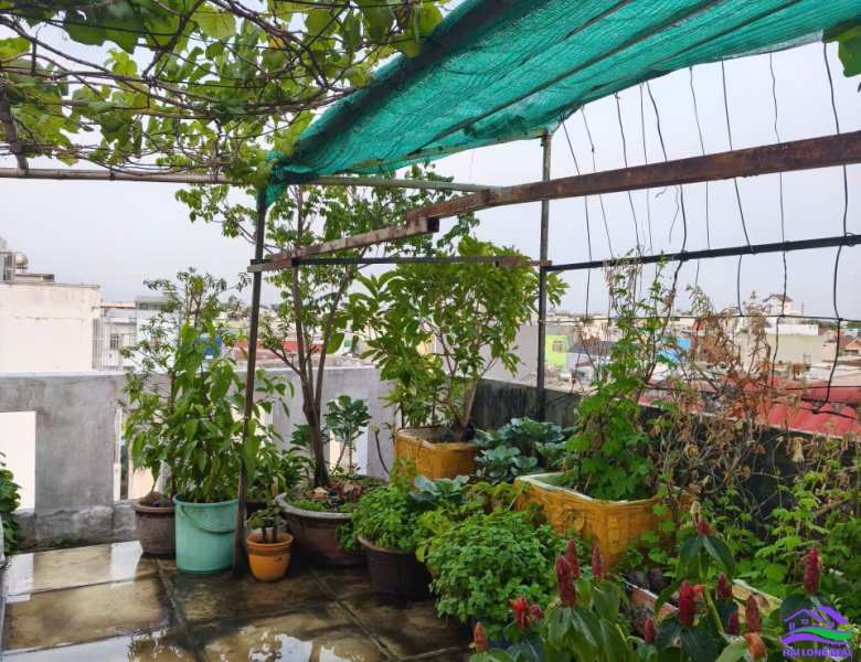 HAILONGREAL: Nhà đường 6m, 1942/ Huỳnh Tấn Phát, Giá: 6,2ty, DT: 4x17m, 3 tầng, TT Nhà Bè 