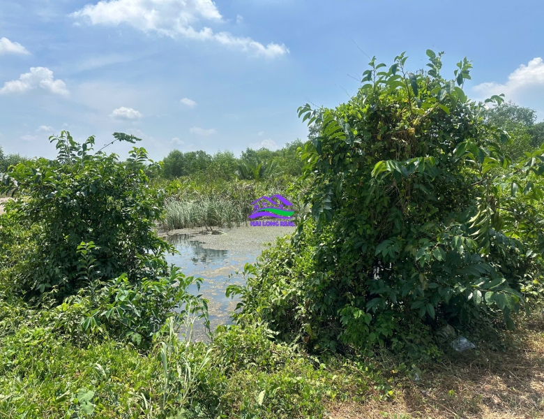 HAILONGREAL: ĐẤT MẶT TIỀN LIÊN ẤP 2-3, GIÁ: 3,9TY, DT: 1235M2, NGUYỄN VĂN TẠO RẼ VÀO, ĐƯỜNG XE HƠI (1)