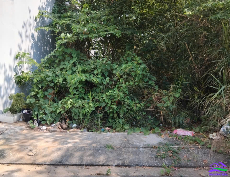 HAILONGREAL: ĐẤT 2 MẶT TIỀN TRƯỚC SAU, 4.6TY, DT: 5X24M, KHU 1764/ LÊ VĂN LƯƠNG, NHÀ BÈ